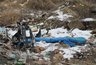 Миниатюра новости: В Воронеже завалили мусором «зеленый пояс»