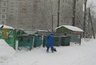 Миниатюра новости: Как Воронеж переживает снегопад