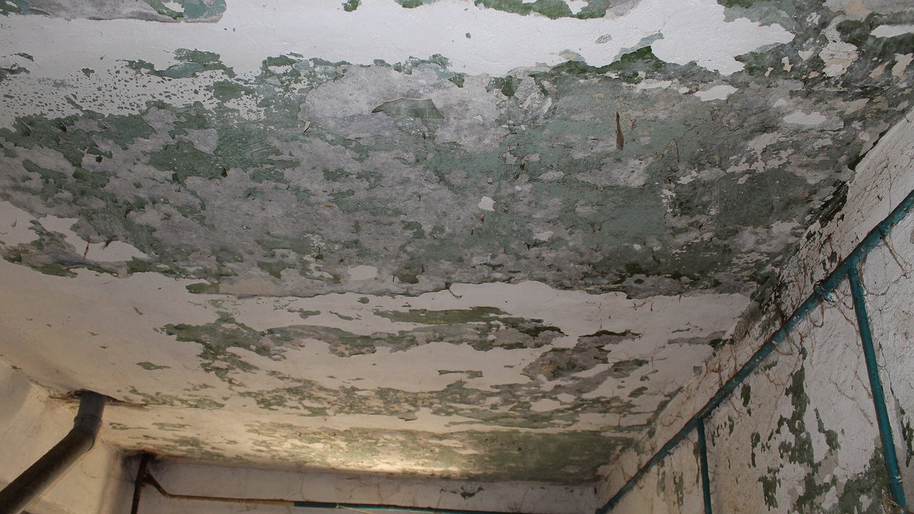 Главная картинка новости: ОНФ попросил мэрию Воронежа расселить аварийный дом