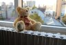 Миниатюра новости: В Воронеже отопление появится во всех многоквартирных домах к 5 октября