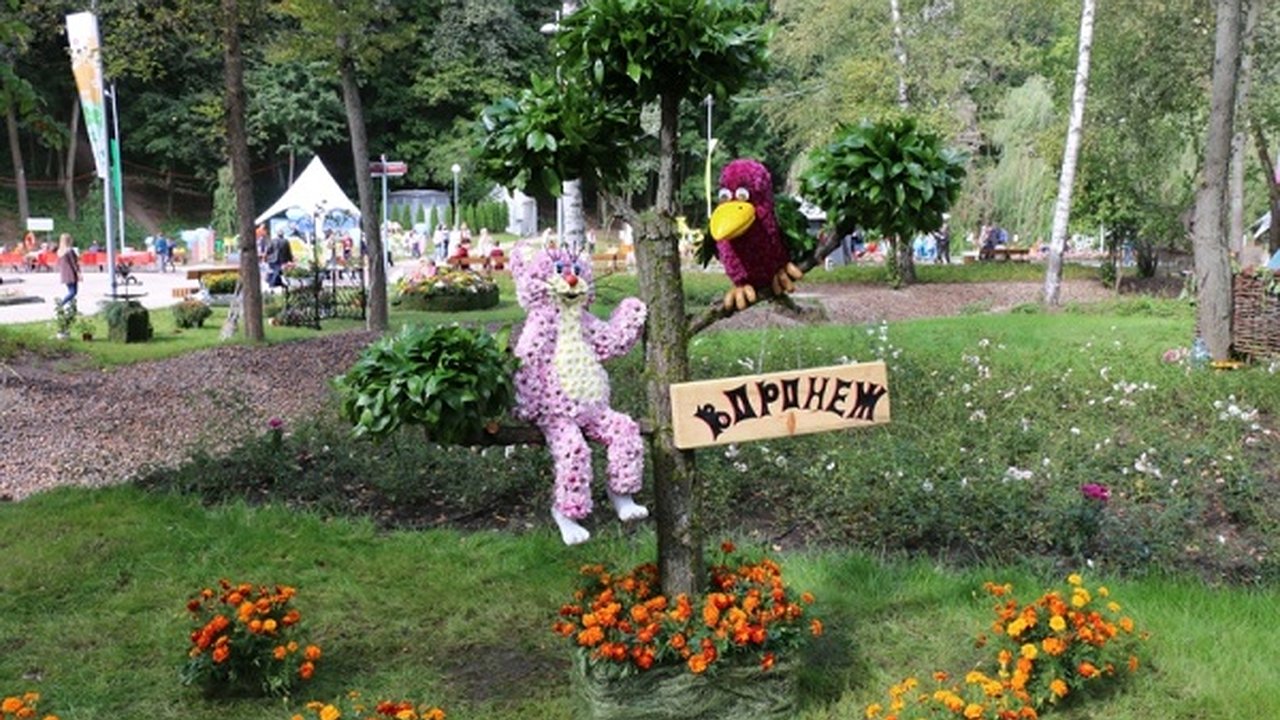 Главная картинка новости: «Воронеж-сад»: творческие встречи, известные актеры и благотворительный марафон  