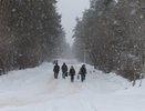 Воронежские чиновники лишили детей школьного автобуса из-за отсутствия пешеходного перехода