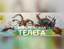 Воронежские политики Рымарь и Хамин интереснее депутатов Госдумы Березина и Гаврилова