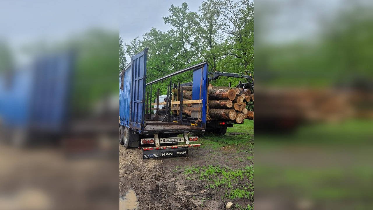 Главная картинка новости: В Семилукском районе уничтожают местный природный заказник