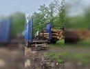 В Семилукском районе уничтожают местный природный заказник
