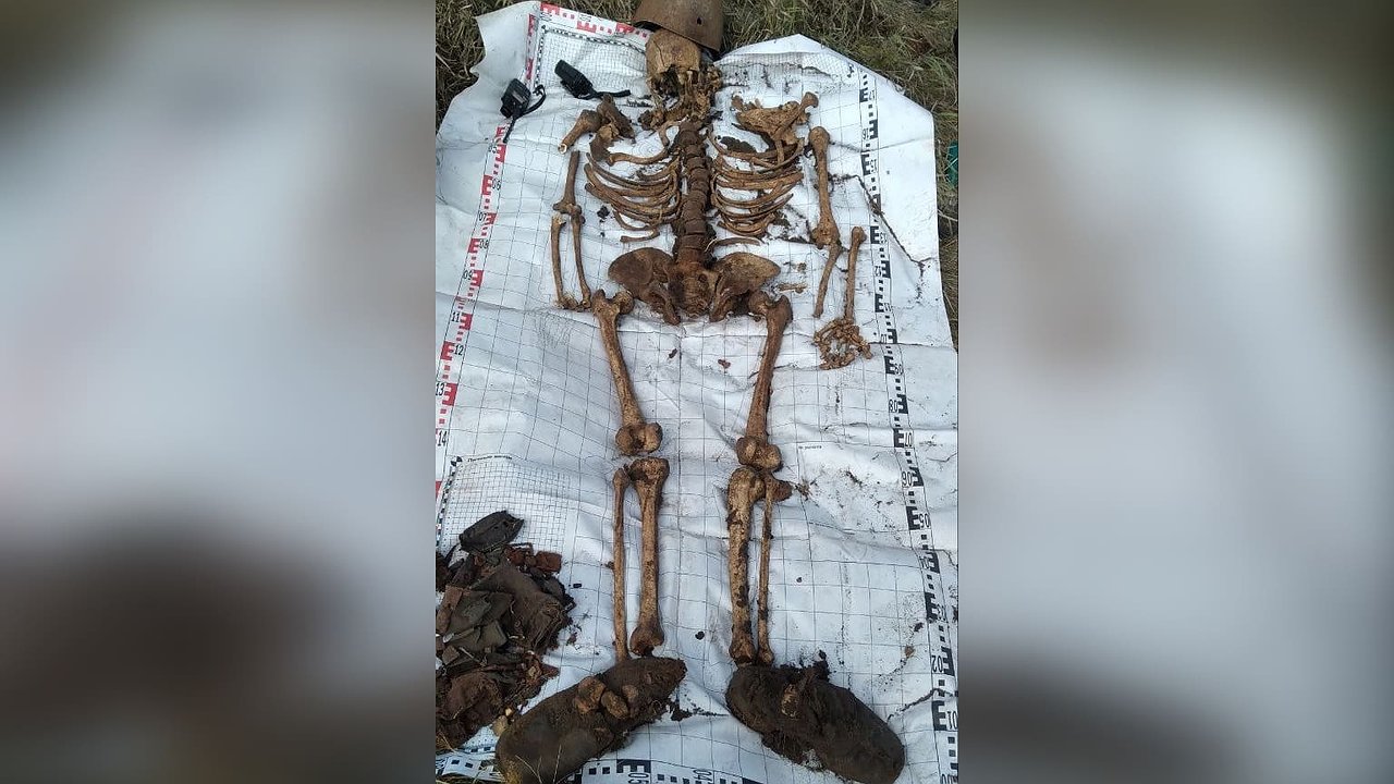 Главная картинка новости: Останки бойца Красной армии нашли в Воронежской области