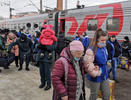 Воронежская область приняла 7,3 тыс. эвакуированных жителей ДНР и ЛНР