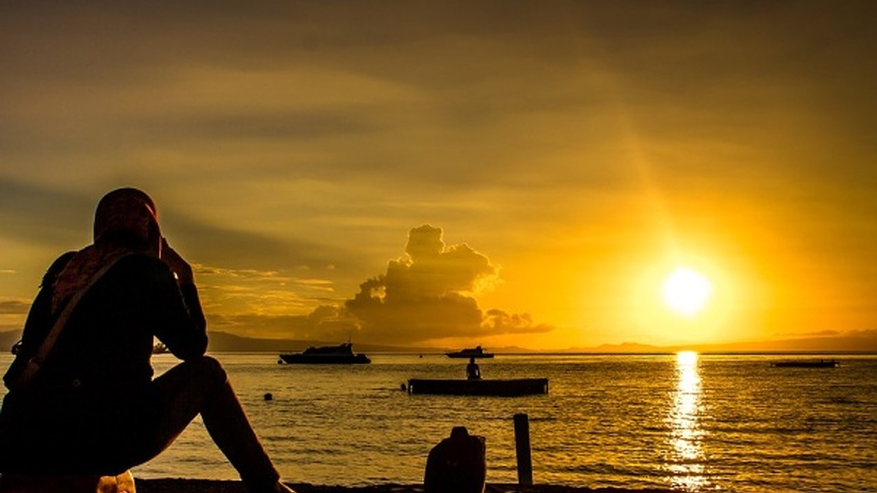 Главная картинка новости: Воронежская область наладит торговые отношения с Индонезией 