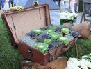 Воронежские власти оценили создание концепции «Город-сад» в 1,5 млн рублей 