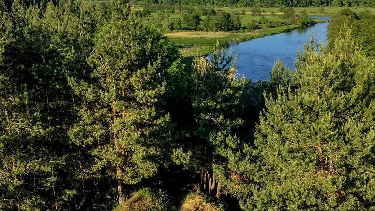 Главная картинка новости: Новым исполнительным директором Совета муниципальных образований Воронежской области стал Сергей Волков