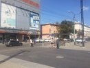 Воронежские общественники и чиновники жарко поспорили о возврате зебры у «Атмосферы»