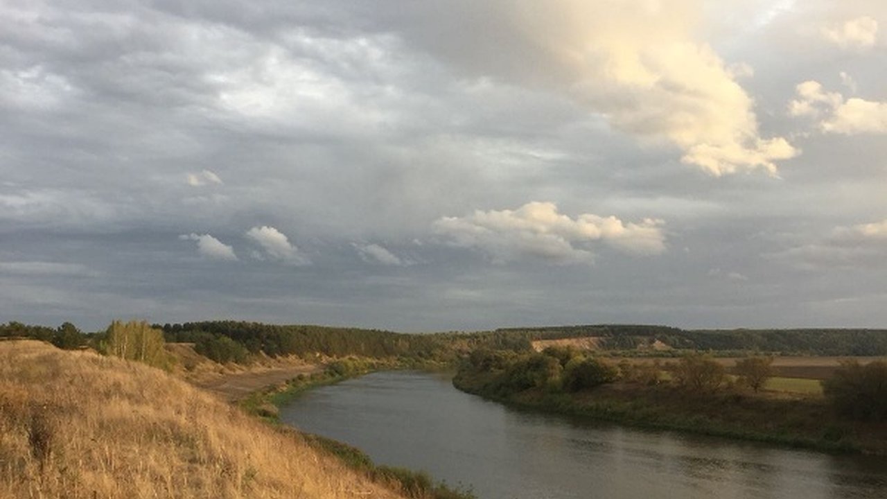 Главная картинка новости: В Воронежской области снова ищут подрядчика на укрепление берега Дона