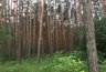 Миниатюра новости: Экс-главу Воронежского заповедника обвинили в растрате бюджетных средств