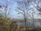 Подрядчик затянул сроки установления границ зеленого пояса вокруг Воронежа