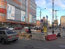 В Воронеже до конца года вернут зебру у «Атмосферы»