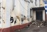 Миниатюра новости: Власти Воронежа назвали поджог причиной пожара в полуразрушенном Доме Клочковых