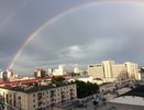 В Воронежской области объявили о сроках нового этапа снятия ограничений 