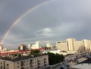 Воронежская область стала лидером по приросту мигрантов среди регионов Черноземья в 2021 году