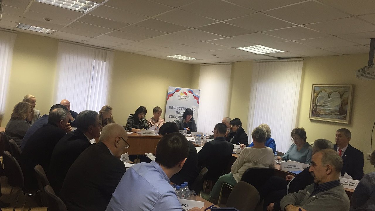 Главная картинка новости: В Воронежской области обновится состав Общественной палаты