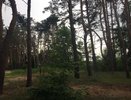 В Воронеже экс-директор заповедника отделался условным сроком за растрату  
