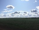Рисковать жизнью ради родины готовы 64% воронежцев