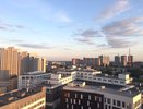Топ-5 общественно-политических событий года по версии «Времени Воронежа»