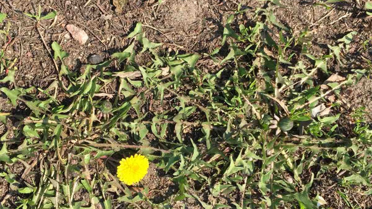 Главная картинка новости: В Воронежской области может появиться очередной заказник за месяц