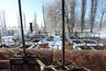 Миниатюра новости: Росприроднадзор подал в суд на ООО «ЛОС» за загрязнение воронежского водохранилища 