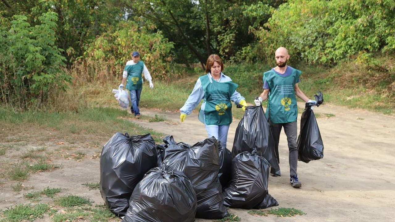 Главная картинка новости: По Воронежем активисты избавили от мусора около 4 га берегов реки Дон