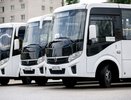 В первую неделю локдауна в Воронеже перевозчик «АТП-1» выпустил на линию предельно возможное количество автобусов