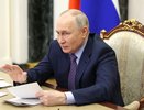 Владимир Путин присвоил почетные звания двум воронежским врачам