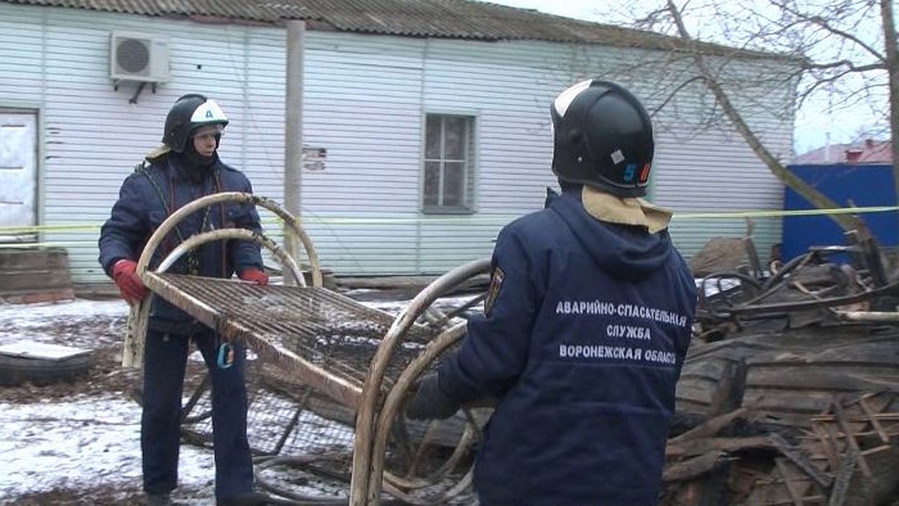 Главная картинка новости: Расследовать пожар под Воронежем будут федеральные специалисты