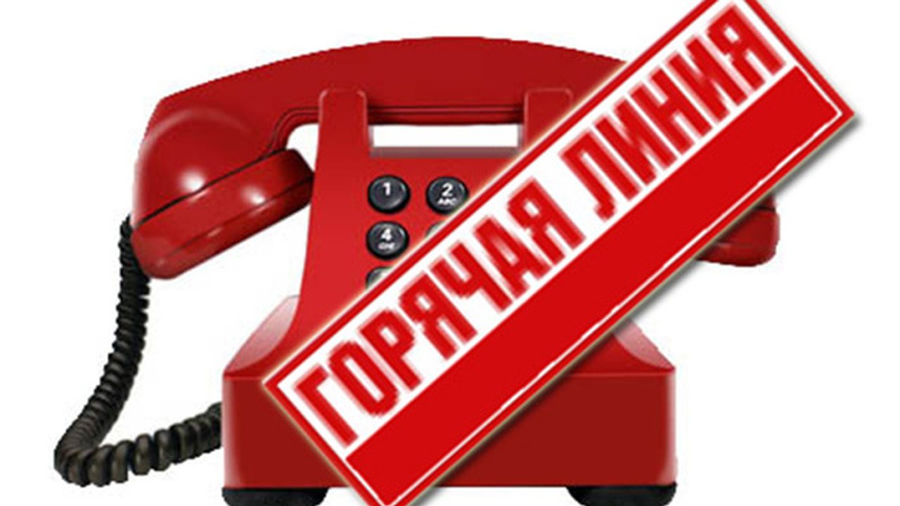 Главная картинка новости: Воронежская кадастровая палата запускает «горячую линию» 