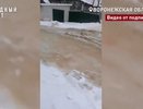 Неисправная канализация превратила улицу в Воронеже в фекальную реку