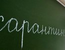 Все воронежские школы закроются на карантин 