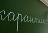 Миниатюра новости: Все воронежские школы закроются на карантин 