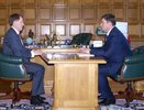 В Воронеже незаконно срубили 59 каштанов 
