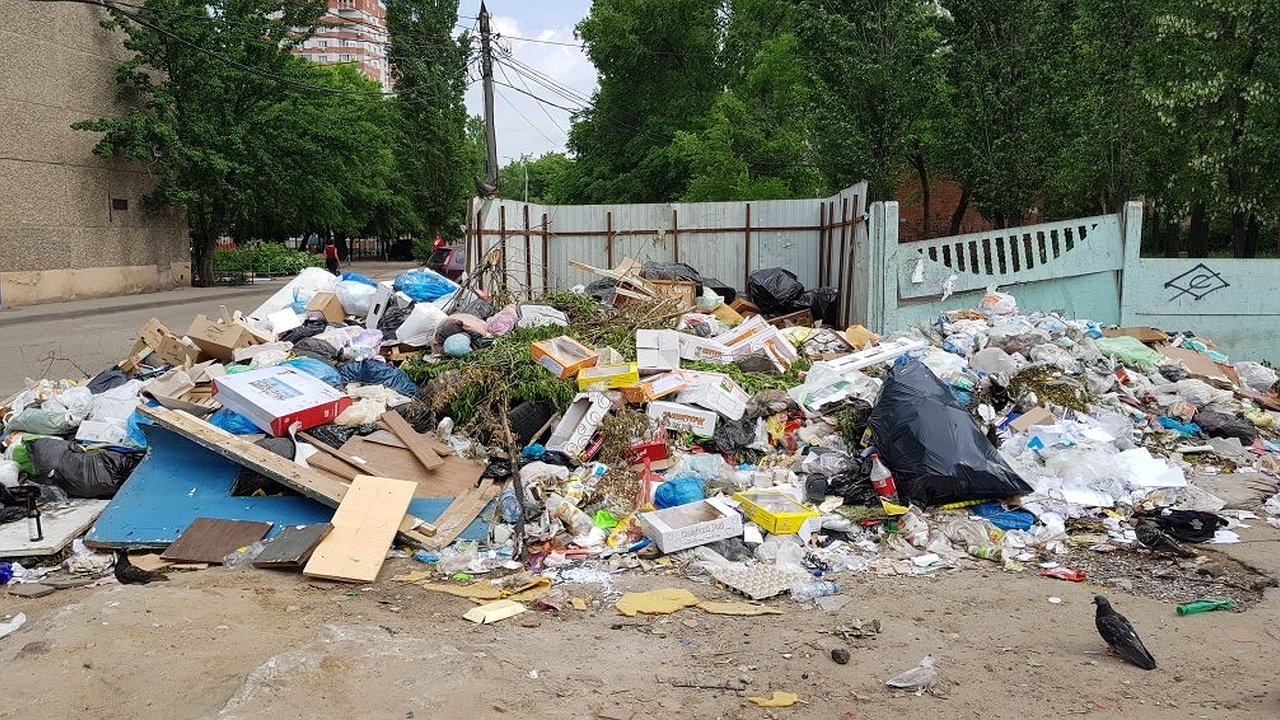 Главная картинка новости: У воронежских домов под управлением УК «Созвездие» скопилась гора мусора