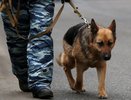 Пена для бритья напугала членов воронежского отделения ЛДПР