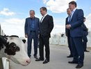 Дмитрий Медведев оценил уровень развития воронежских сел и качество дорог