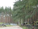 Воронежцев приглашают на кладбище 