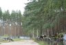 Миниатюра новости: Воронежцев приглашают на кладбище 