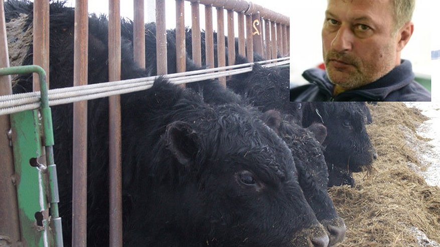 Главная картинка новости: Сергей Гончаров: «Если сегодня не вернуть интерес инвесторов к отрасли, с мечтой о российском скотоводстве можно попрощаться» 