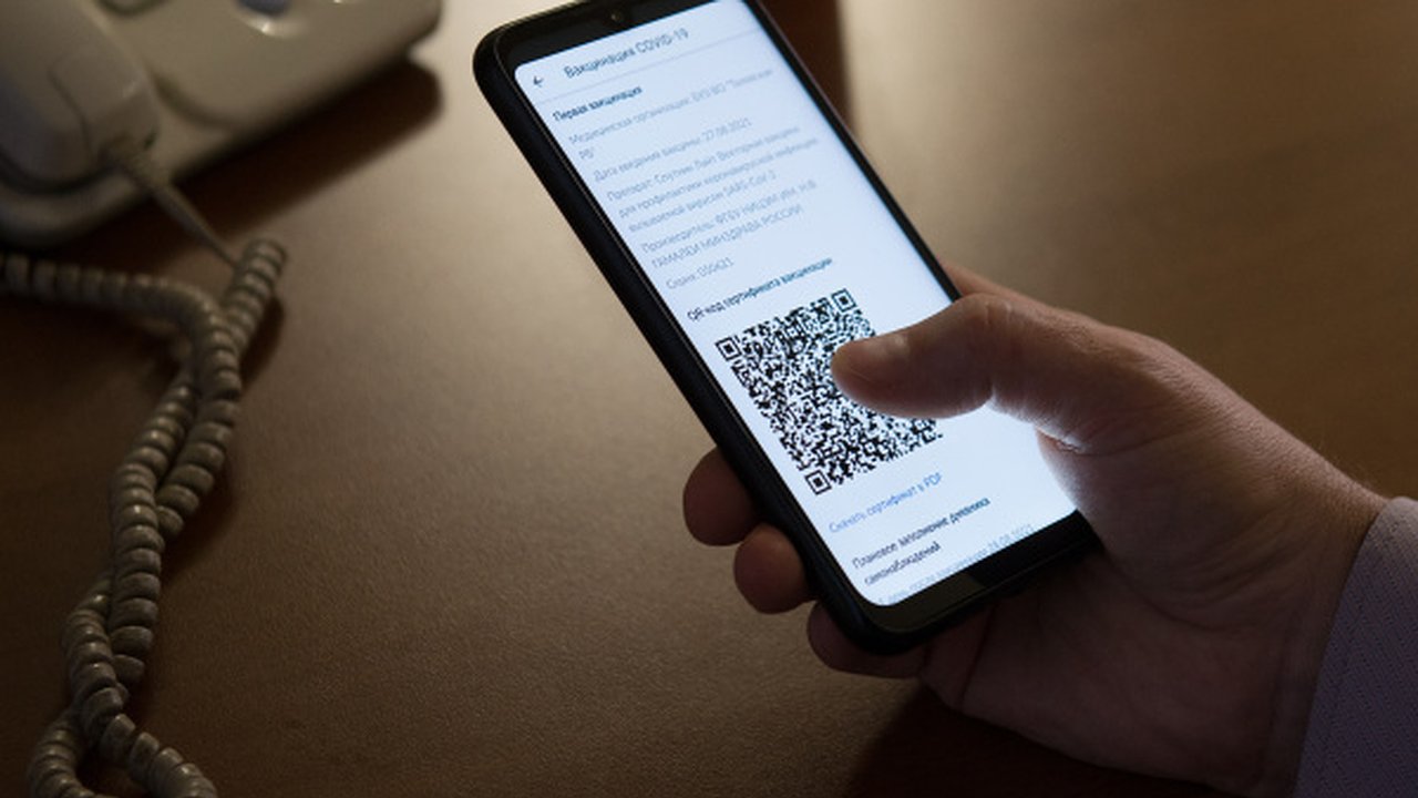 Главная картинка новости: Воронежцы выступили против введения QR-кодов в маршрутках и автобусах