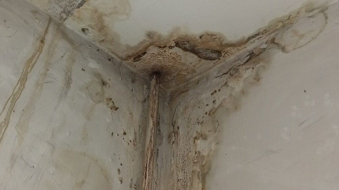 Главная картинка новости: Капремонт крыши привел к постоянному потопу в доме на Московском проспекте в Воронеже 