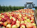 Воронежская инвестпрограмма пополнилась проектом сына областного депутата