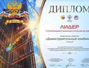 Воронежский ДСК попал в число лидеров строительного комплекса России