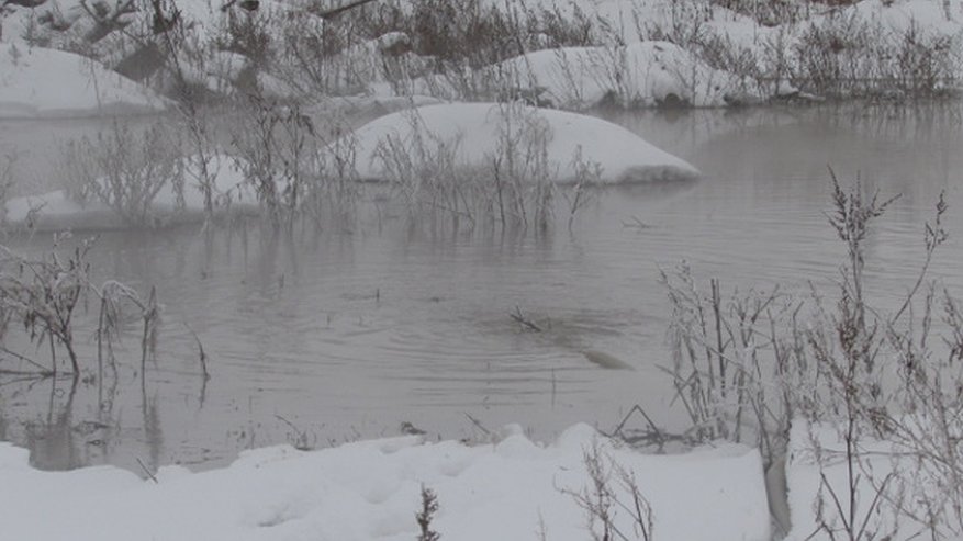 Главная картинка новости: Воронежский «ЭкоЛайнер» только планирует строительство очистных сооружений 