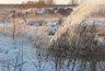 Миниатюра новости: Проверка по факту слива сточных вод воронежским «ЭкоЛайнером» возобновлена 
