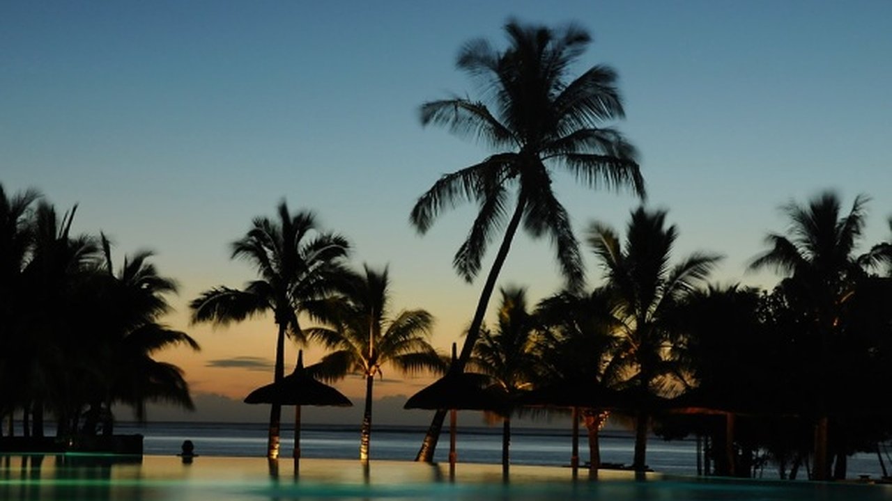 Главная картинка новости: Из Воронежа можно будет улететь на Мальдивы 